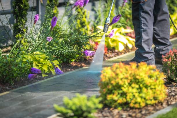 Rouses Point, NY Pressure Washing Services Company